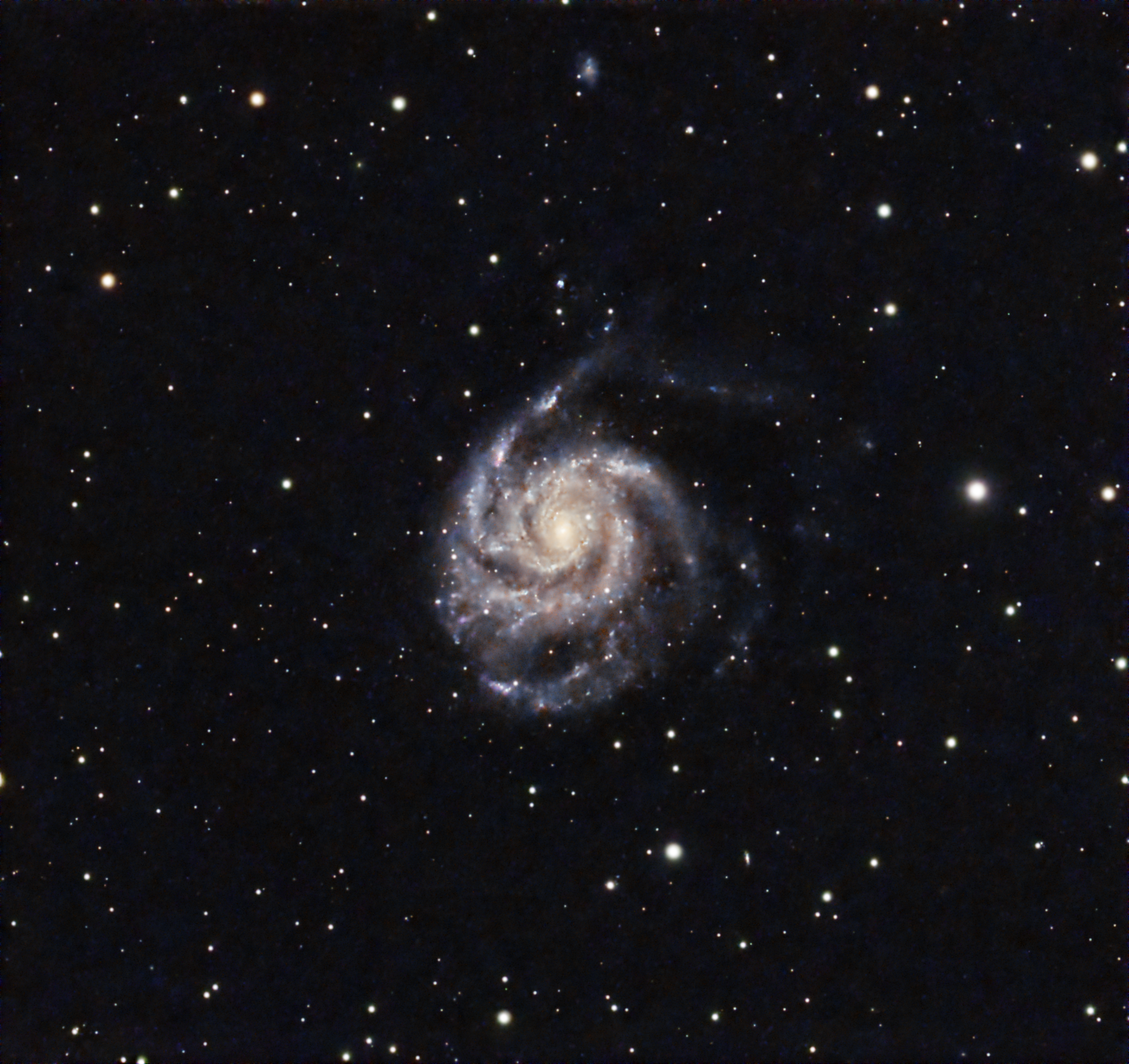 M101, Galaxie du Moulinet